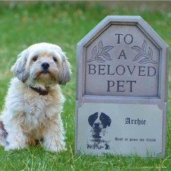 Pet Memorial 